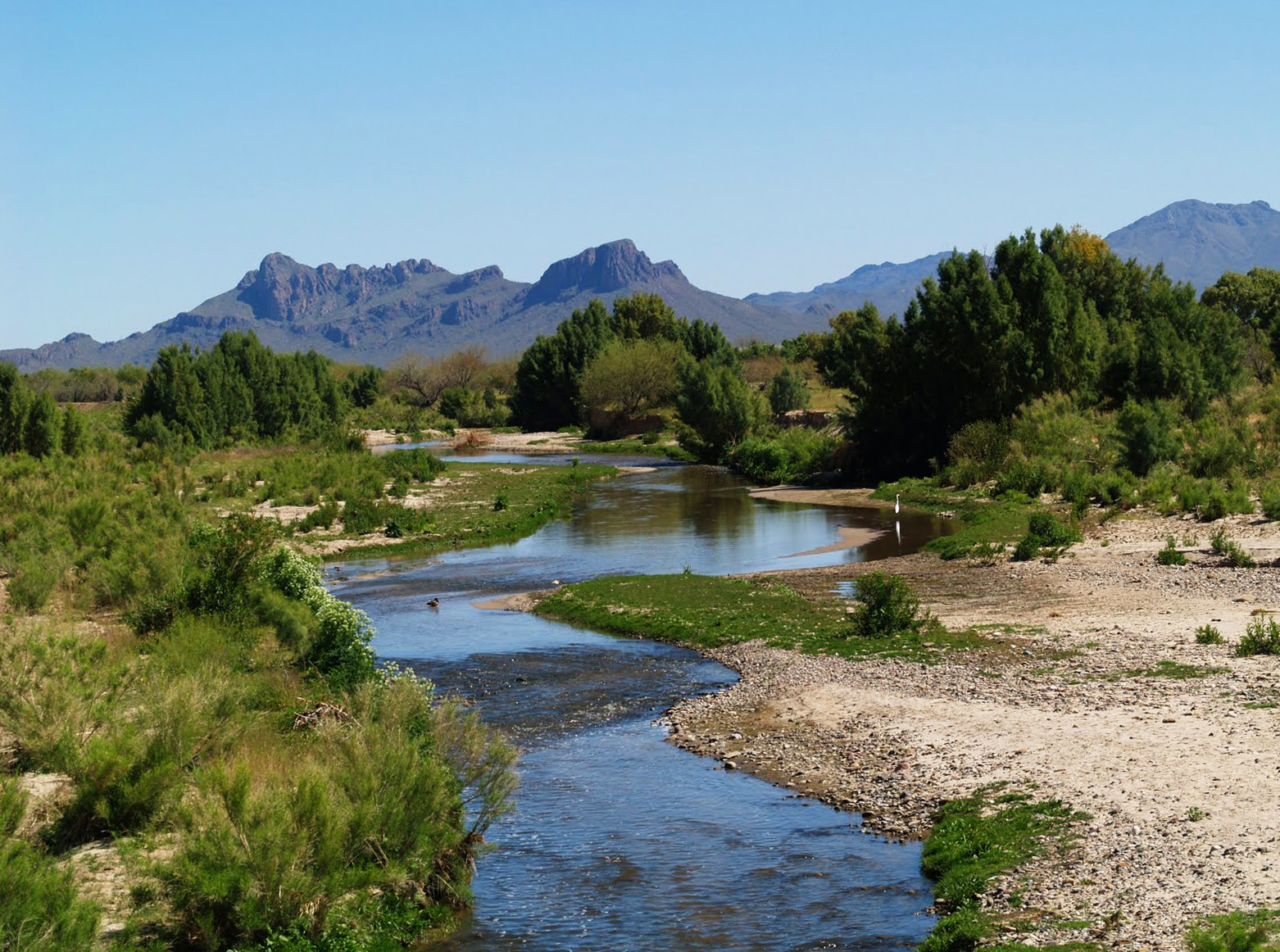Santa Cruz River by Margarethe Brummermann